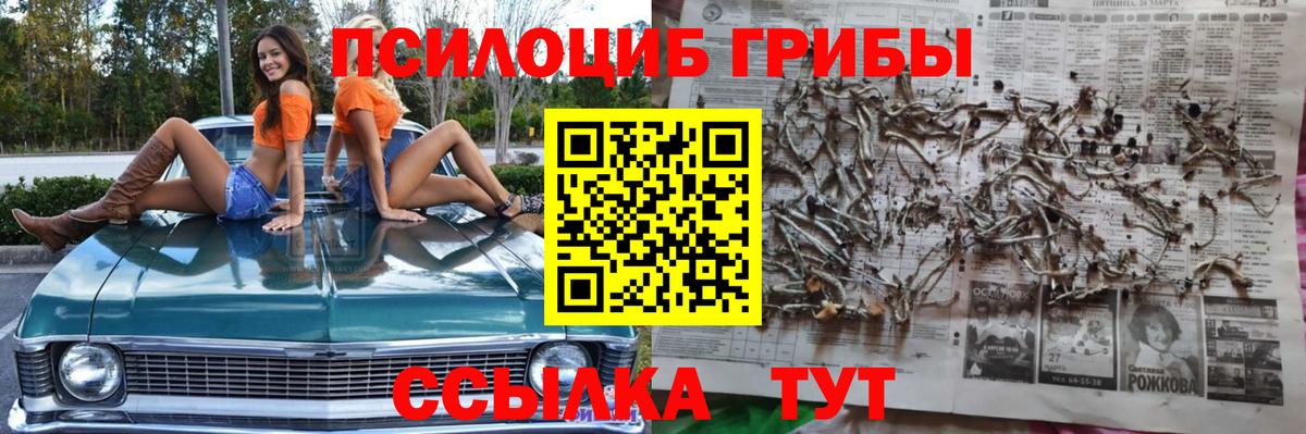 Лыткарино  Псилоцибиновые грибы ЛСД  Вход с VPN  Галлюциногенные грибы Cubensis 